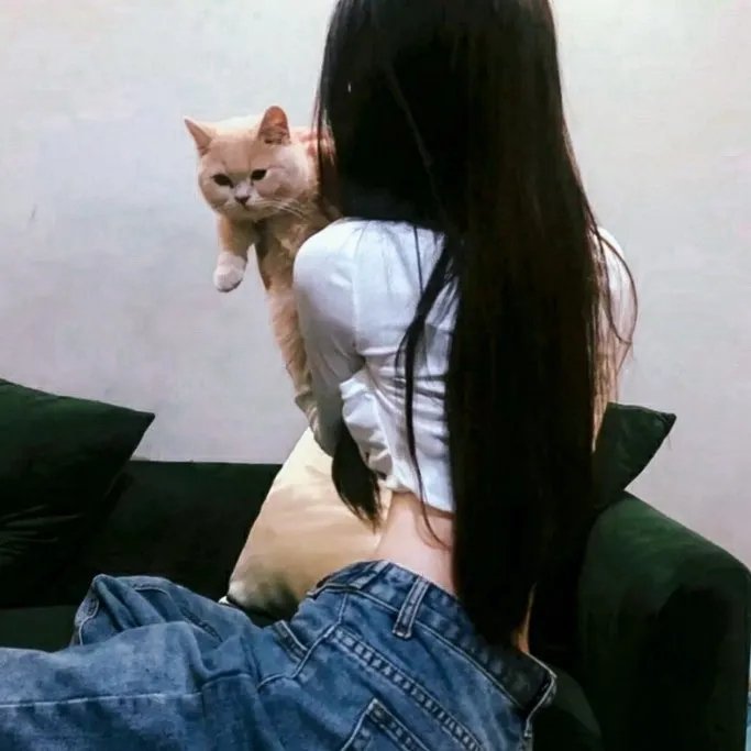 殊不简单